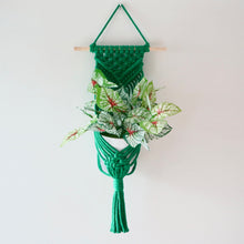 Load image into Gallery viewer, Workshop - Mini Plant Hanger

